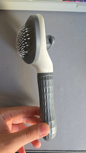 A4daa7b8c27be4ce28b9820f333ff5ba59.jpg