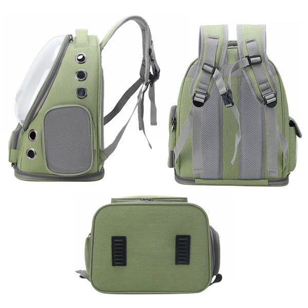 Chic Cat Travel Backpack