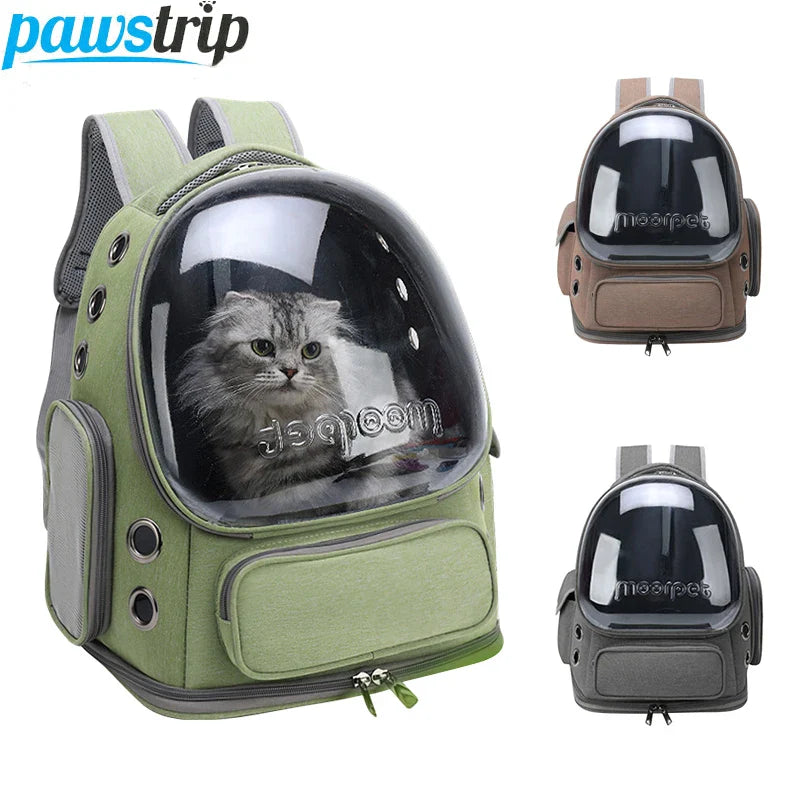 Chic Cat Travel Backpack